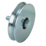 PL RUOTA PER CANC C/BULLONE A 1 CUSC 120 MM