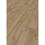 PARQUET LAMINATO 7 MM ROVERE INVERNO 2,39 MQ D5263S7