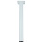 PIEDINO ACCIAIO D. 30 X H 200 MM BIANCO