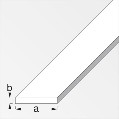 PROFILO BIANCO H.200 CM PIATTO 25X2 MM