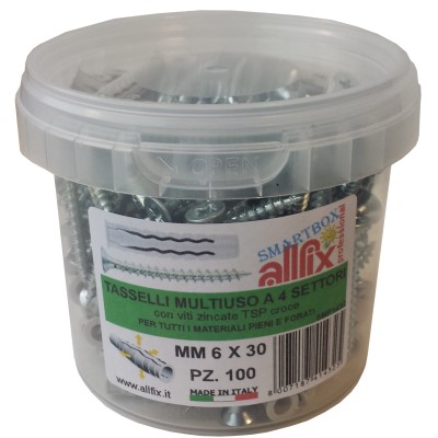 ALLFIX 100 TASSELLI CON VITI F4 6X30 MM*