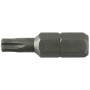 LTI INSERTO TORX 25 MM T27 M 5,0*