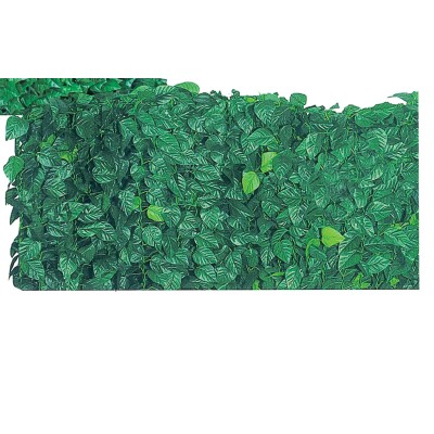 ARELLA SEMPREVERDE LAURO 1,00X 20 M