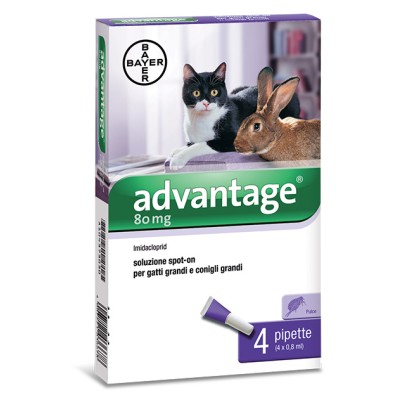 BAYER ADVANTAGE SPOT ON 80 GATTI OLTRE 4 KG