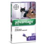 BAYER ADVANTAGE SPOT ON 80 GATTI OLTRE 4 KG