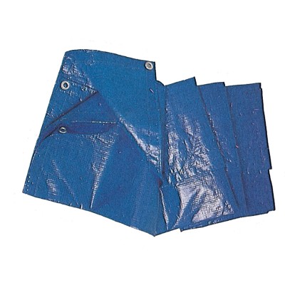 C TELO OCCHIELLATO PE 85 GR BLU 3X4 M